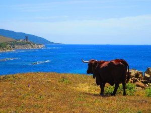 Torre_de_Guadallmesi