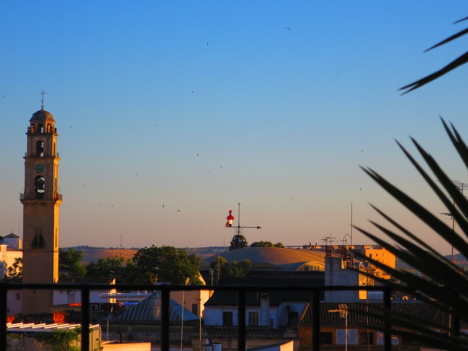 Tio_Pepe_und_Kathedrale