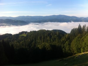Drautal_im_Nebel